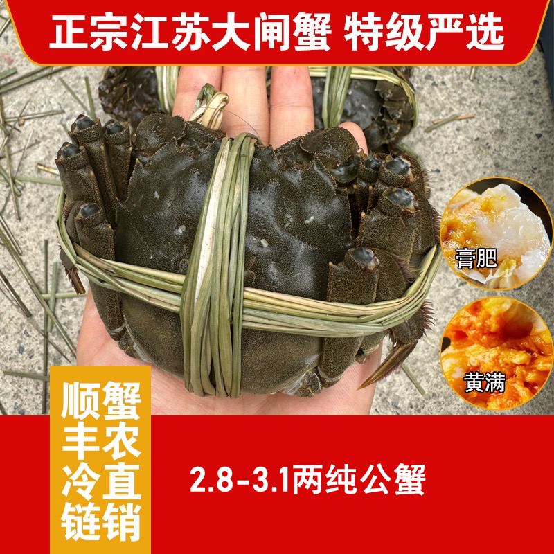 【活蟹】江苏大闸蟹自产自销纯公2.8-3.1两16只 礼盒装顺丰冷链