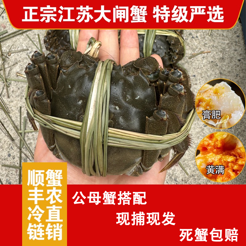4.1-3.8两公蟹母蟹8只10只装
