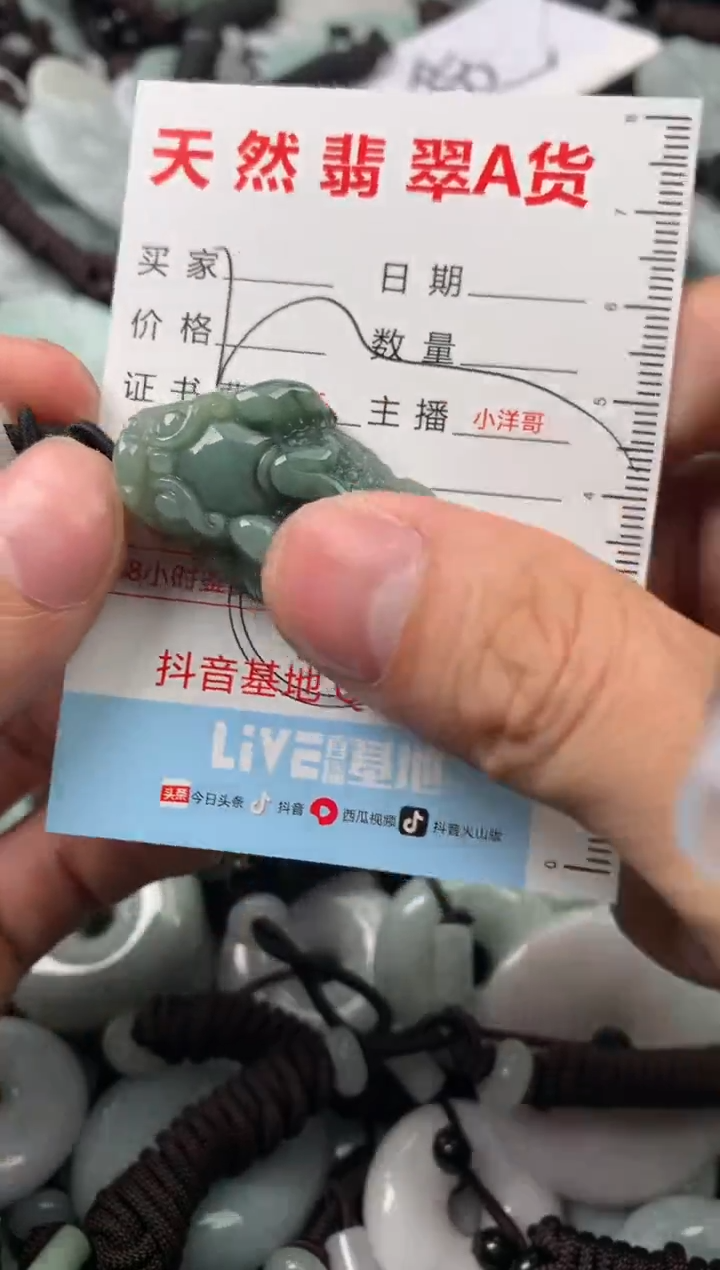 【闪购商品】翡翠颈饰未镶嵌1