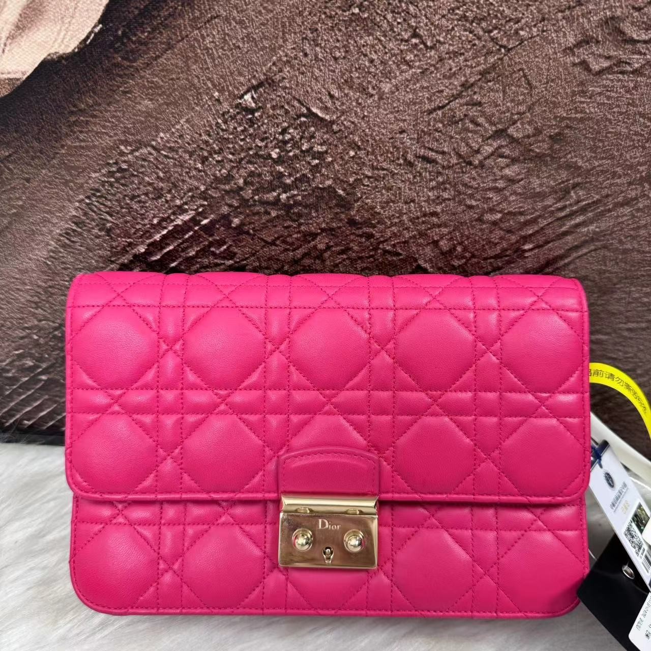 95新 Dior/迪奥 /伊一/95/282975/单肩包/