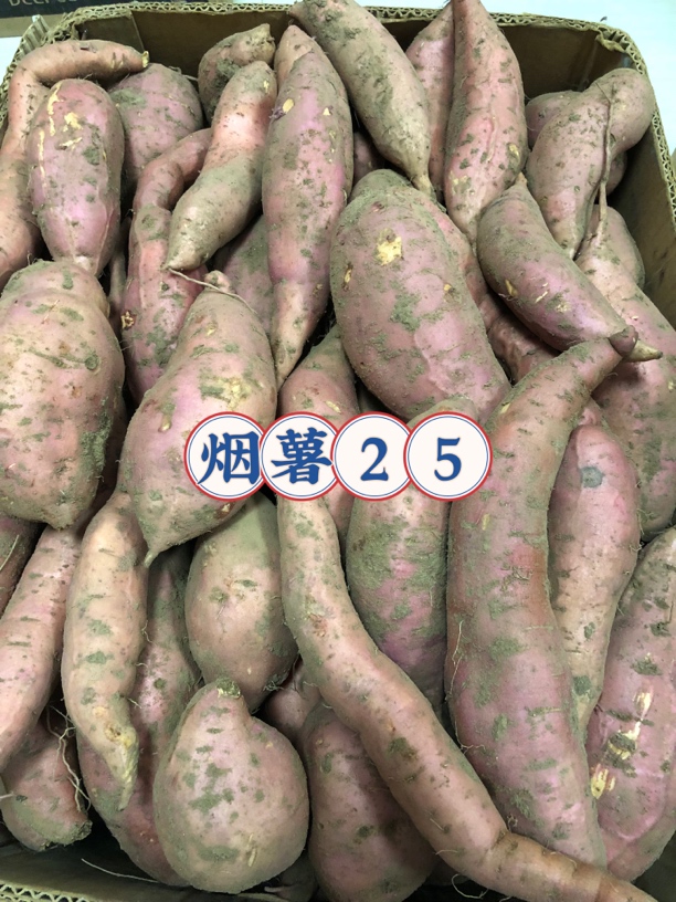 【小马家三亩田】东北沙地地瓜烟薯冰糖哈密西瓜红2两以上果