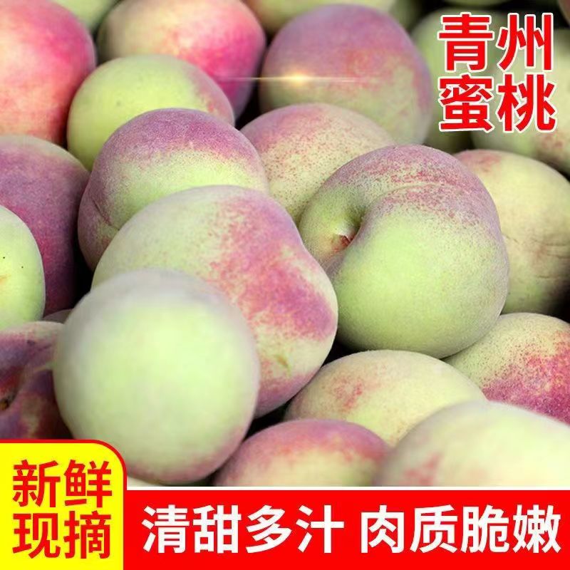 山东青州蜜桃小山桃小毛桃新鲜现摘现发秋桃4.5斤包邮