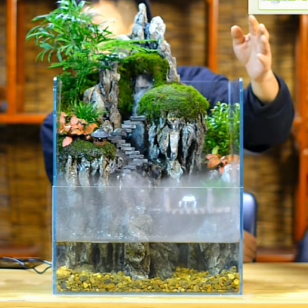 30*35*35定制款高缸水陆景观养鱼桌面景观懒人景观带过滤器带雾化