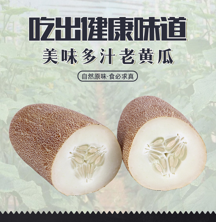 东北特产新鲜老黄瓜种现摘现发优选美味酸黄瓜黄瓜汤9斤5斤包邮