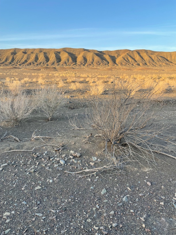 新疆哈密戈壁石，泥石，奇石摆件户外古风卧室工艺品