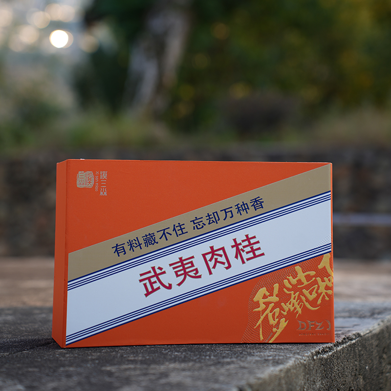 溪三淼武夷岩茶肉桂正岩大红袍生态茶叶浓香型醇厚花香送礼礼盒装