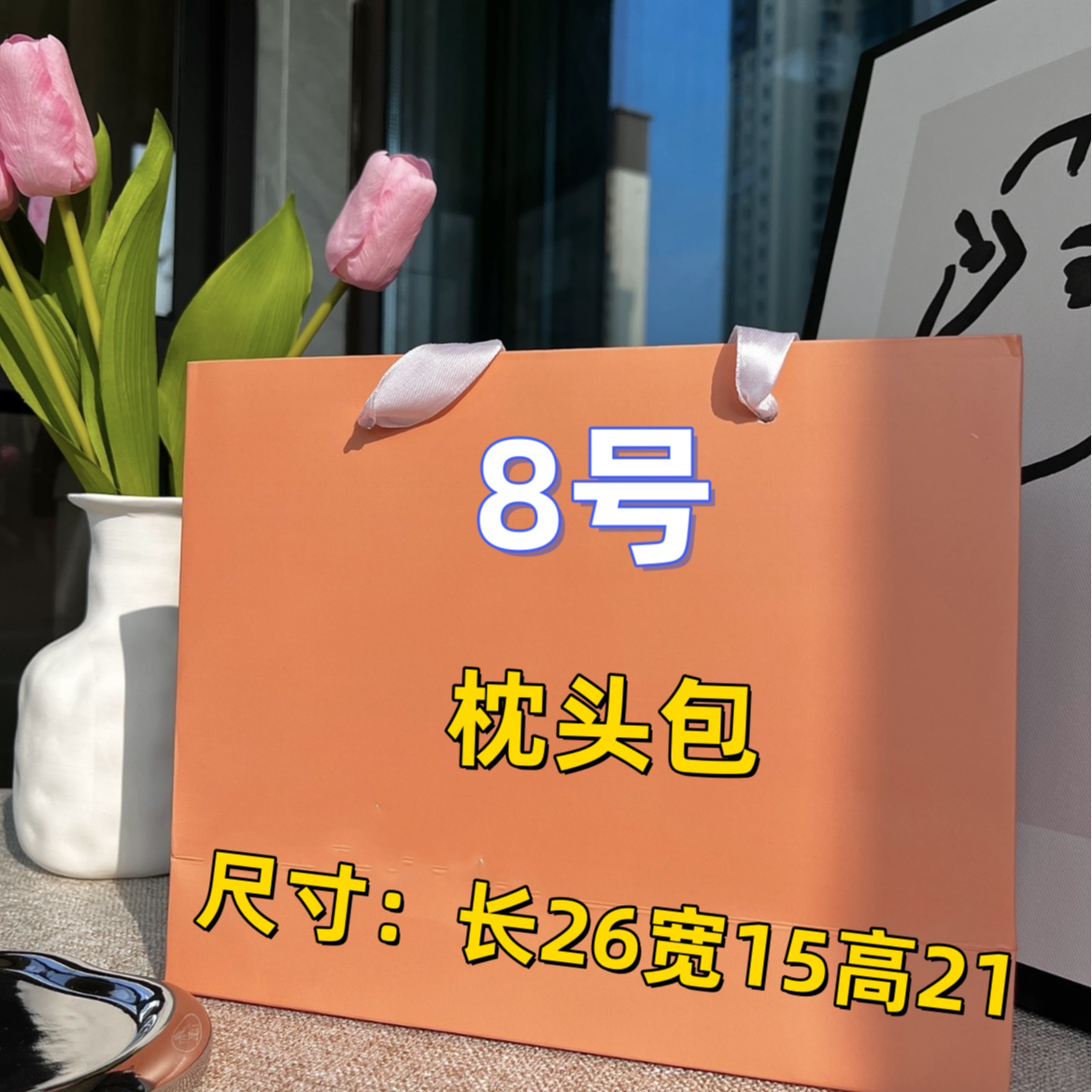 （8号）2024新款时尚休闲枕头包#k08