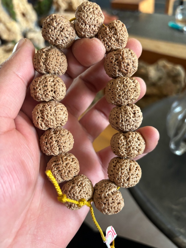 尼泊尔熊猫菠萝蜜金刚菩提