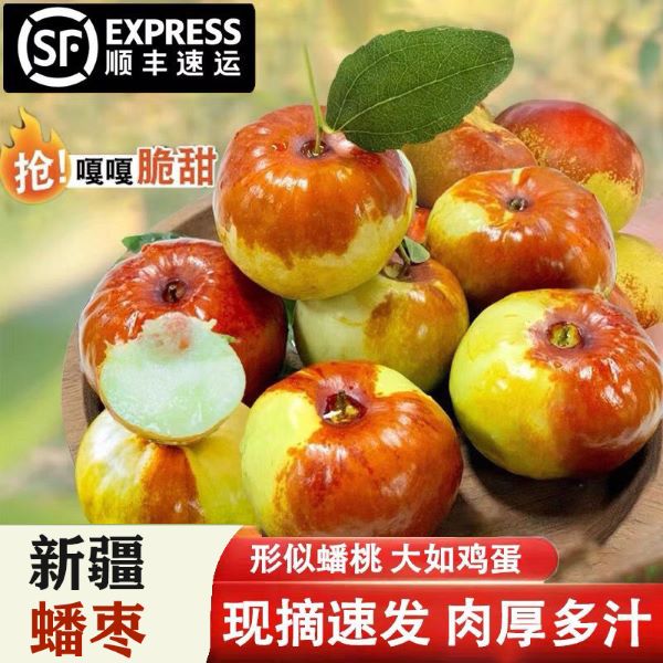 新疆沙漠蟠枣新鲜蟠枣现摘脆甜多汁产地空运直发3/4斤新疆蟠枣