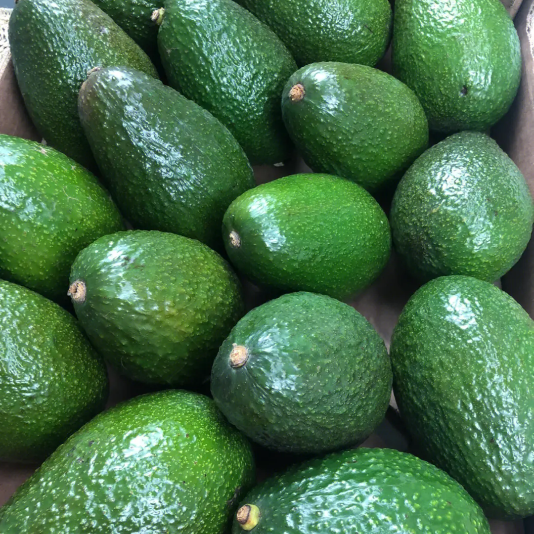 【生活馆】牛油果两个装