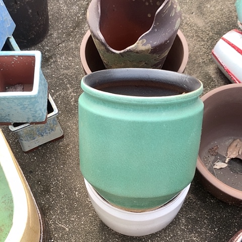 红陶20CM（含）-50CM（不含）21/24