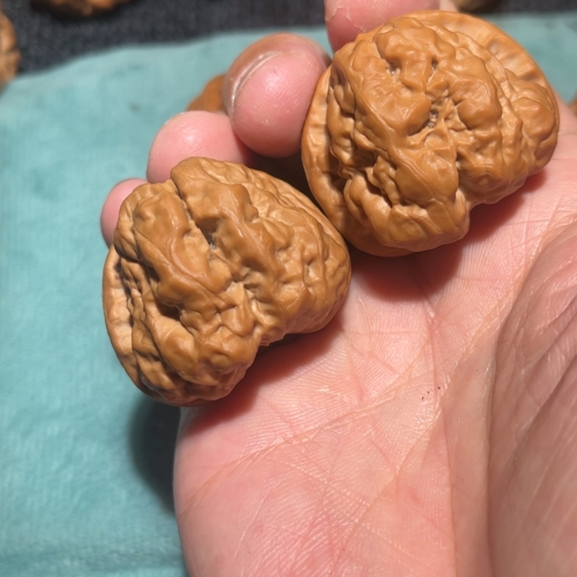 【闪购商品】文玩核桃吊坠本*39蛙