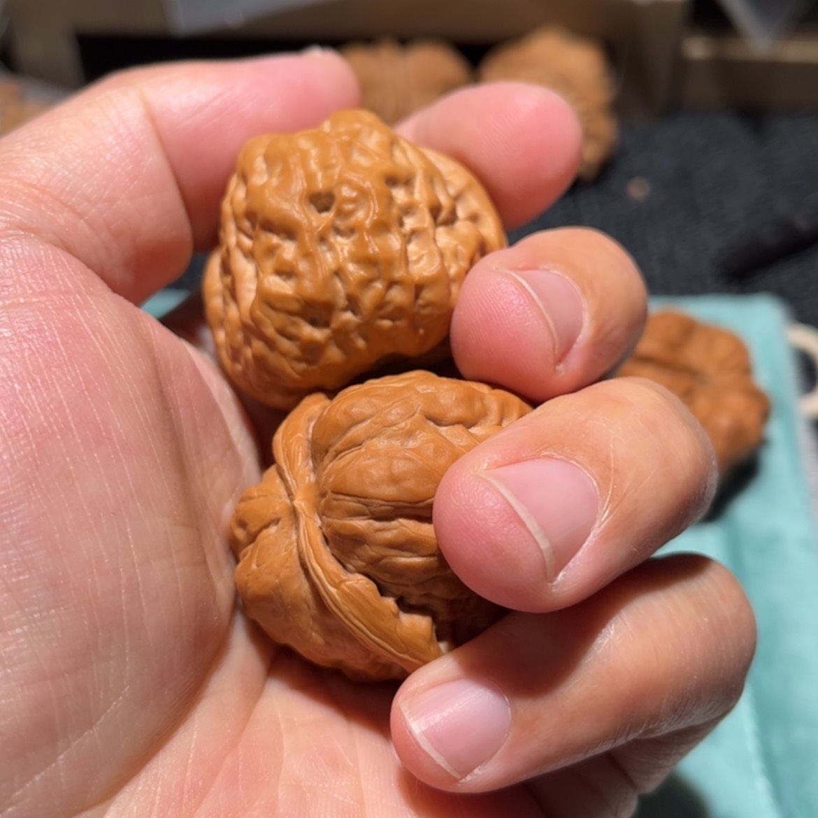 【闪购商品】文玩核桃吊坠亥*茶