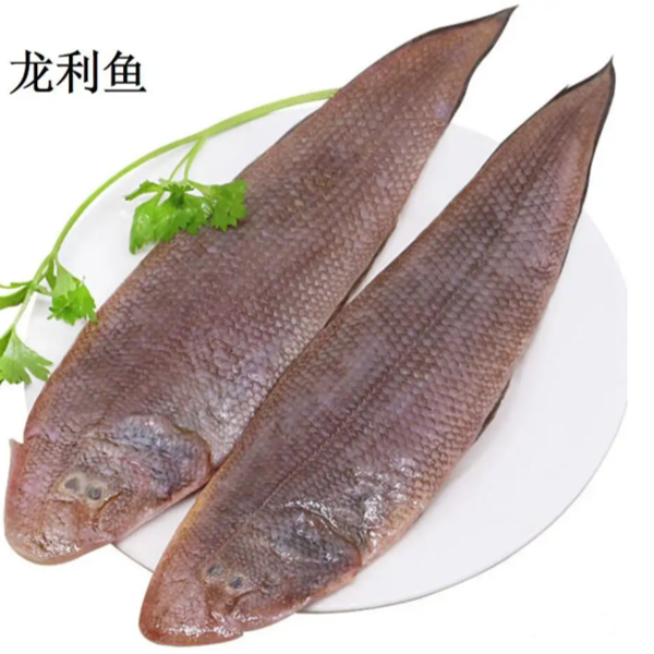 广东野生海捕龙利鱼