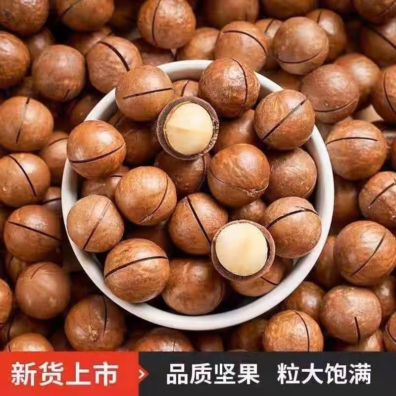 夏威夷果精选散装特产澳洲休闲零食批发20g含罐重1000G奶油坚果