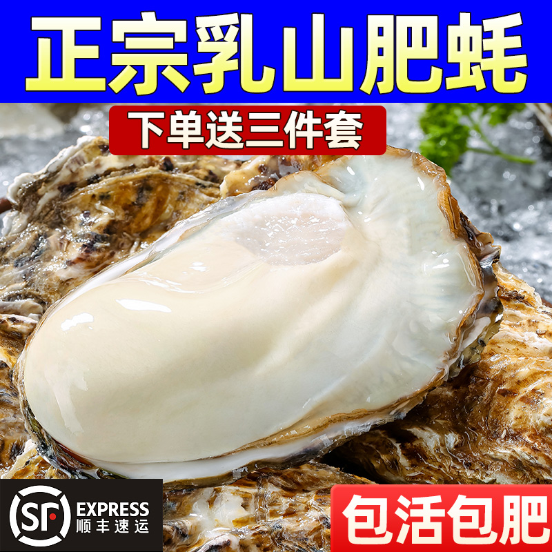 【5斤乳山生蚝】肉肥鲜美牡蛎活鲜海蛎子新鲜海鲜水产jd