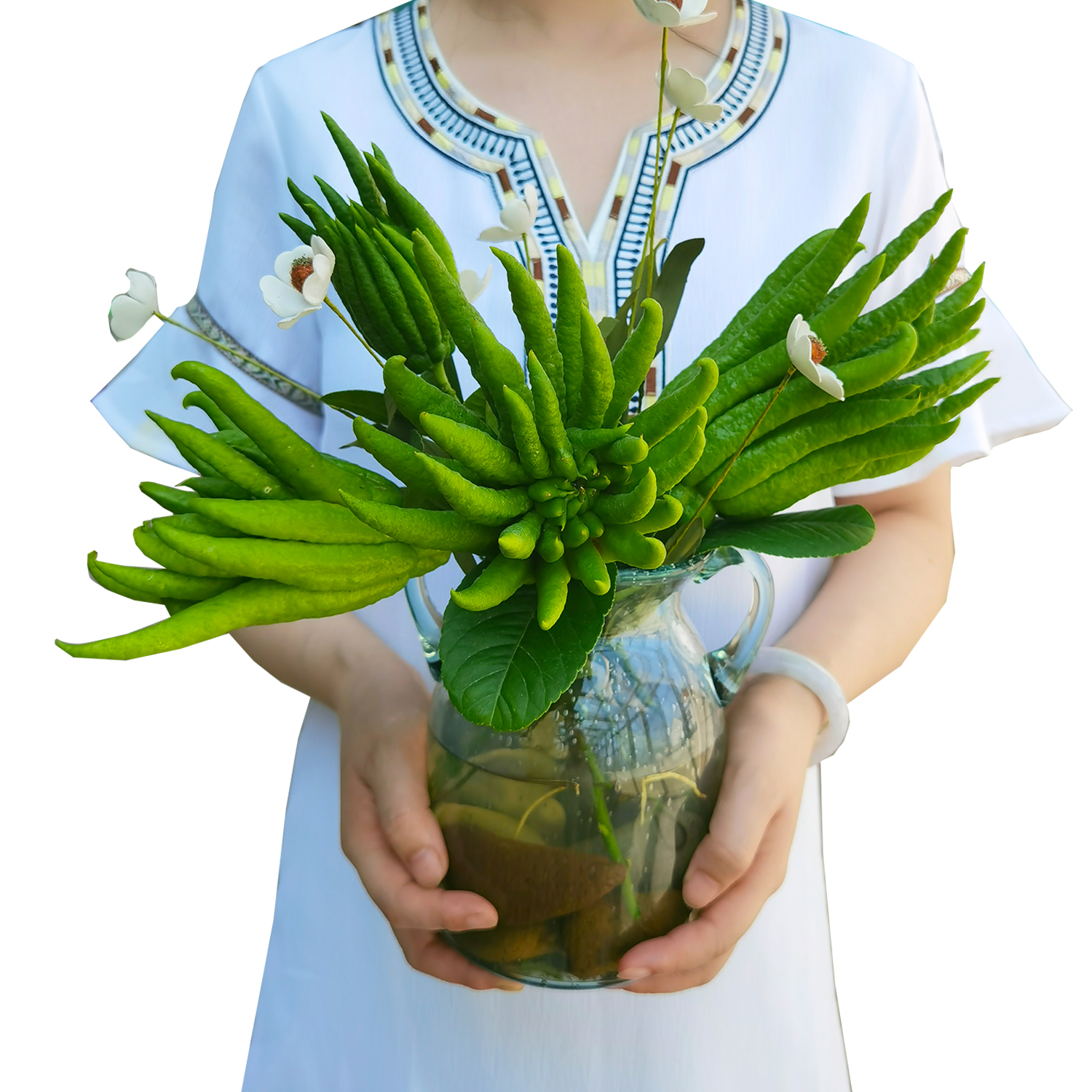 金华佛手带枝水养插花佛手柑金佛手观赏闻香插花