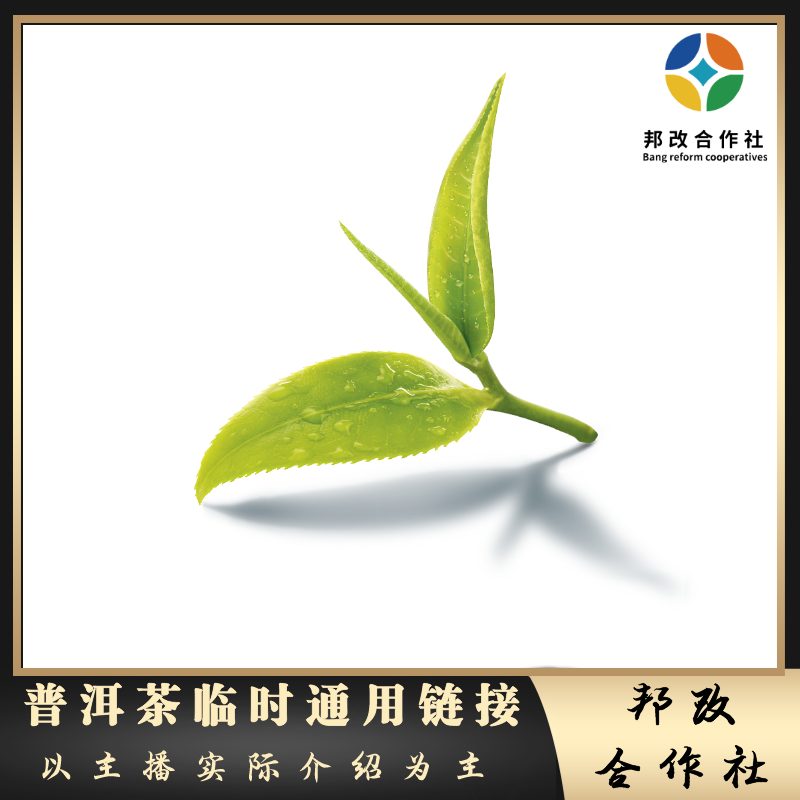 【秘境芽孢】2025年秘境森林芽孢/普洱茶50克/份