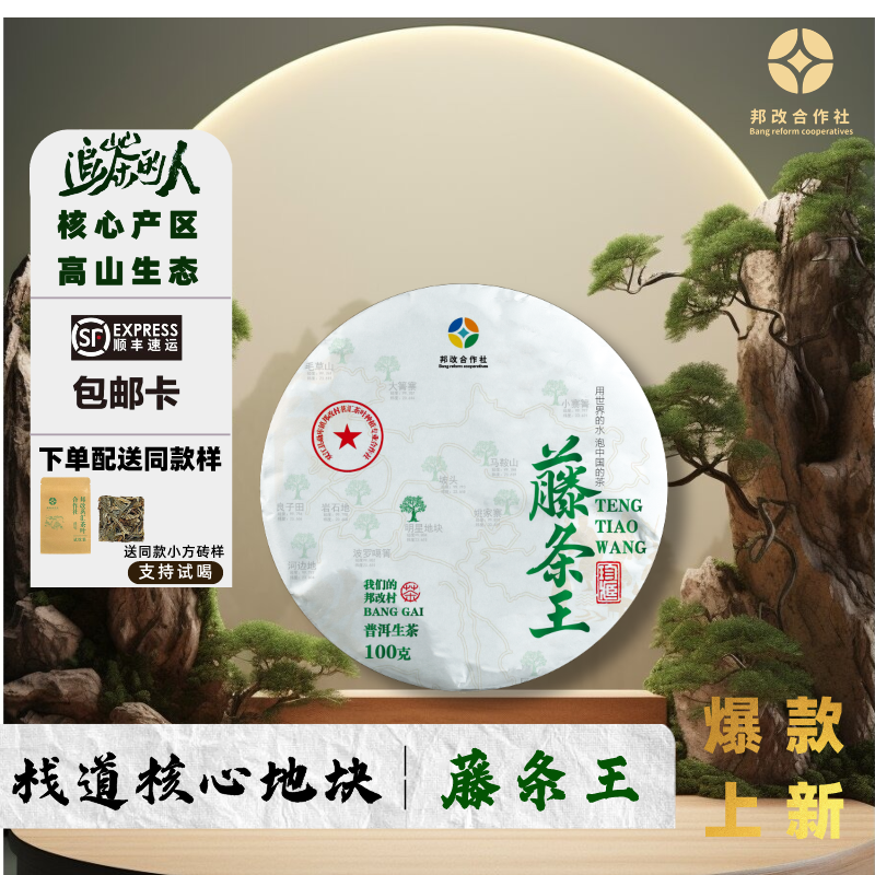 【邦改】2024年/藤条王明星产品/古树春茶/100克饼/核心地块/品质