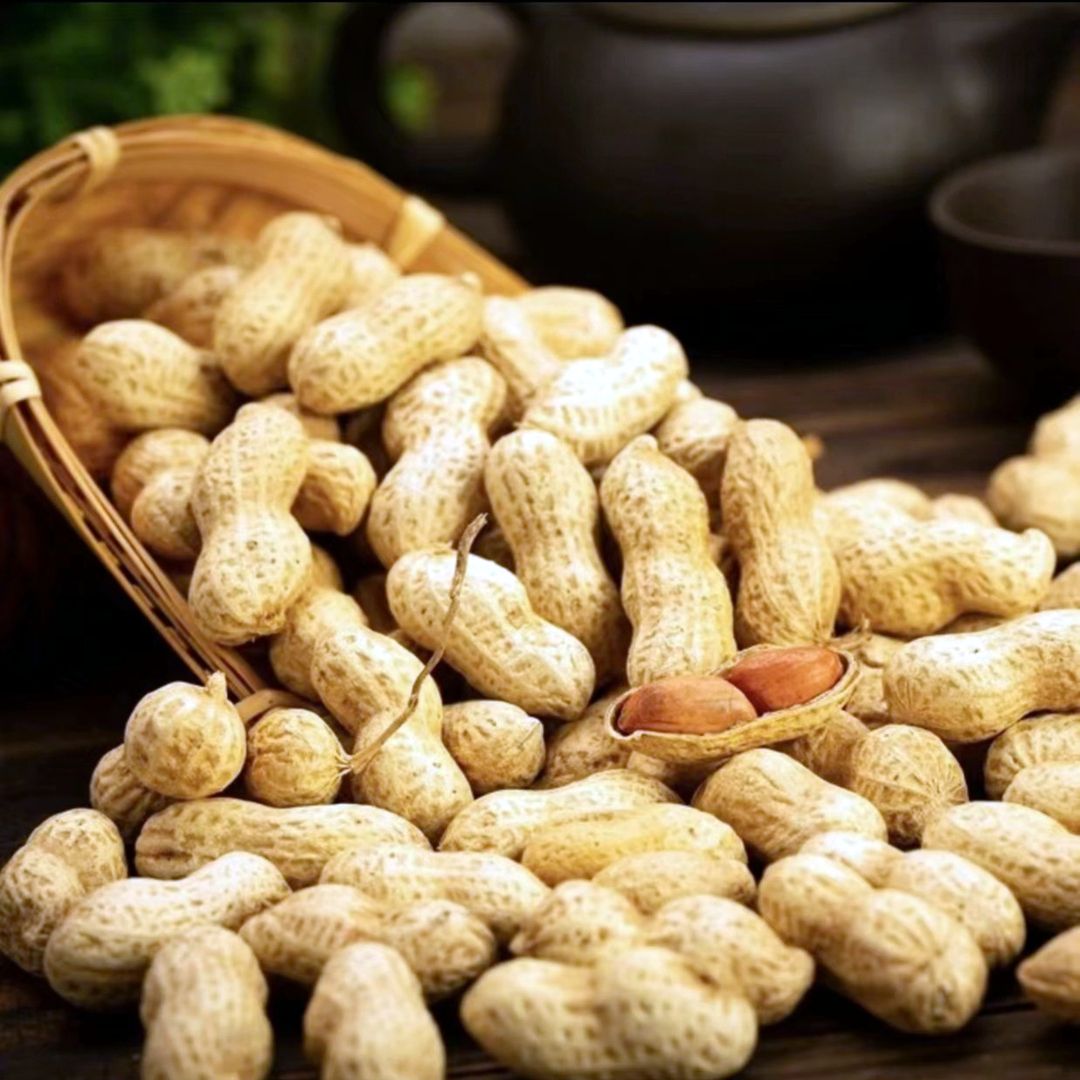 铁锅小珍珠花生炒花生23年新货带壳炒熟花生零食手工香酥美味炒货