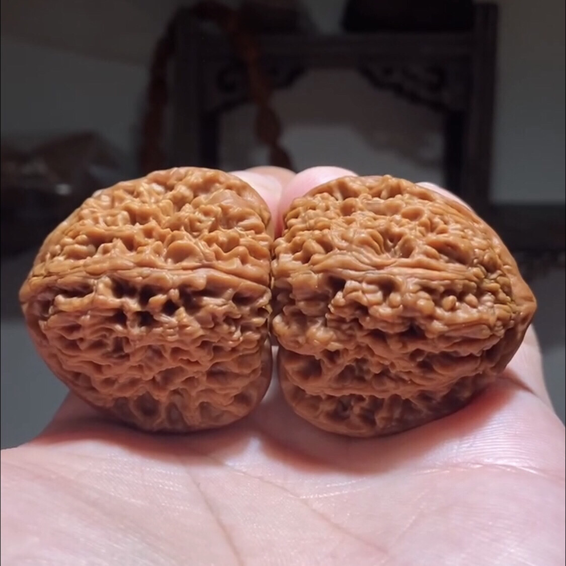 文玩核桃涿鹿南疆石狮子头凹底高炮拉丝蚂蚁纹三角天残脚丑将一对