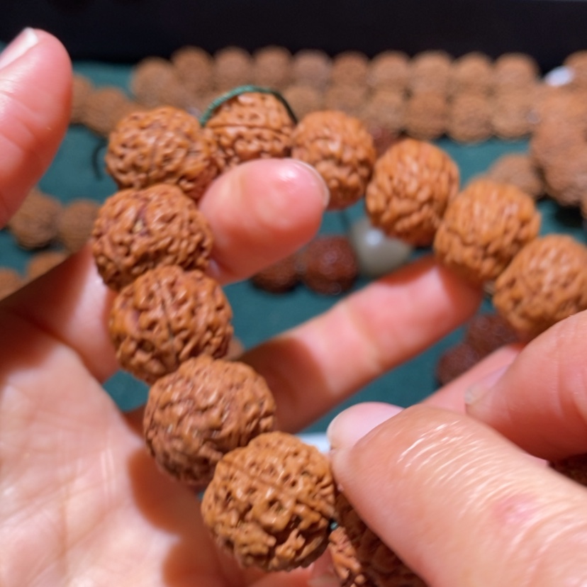 【闪购商品】金刚根雕尺寸17五瓣19