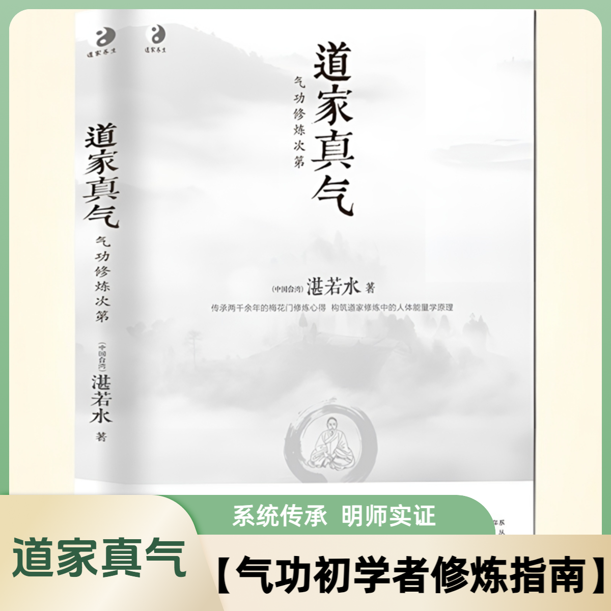 道家真气气功修炼次第湛若水著气功初学者修炼练功入门国学指南