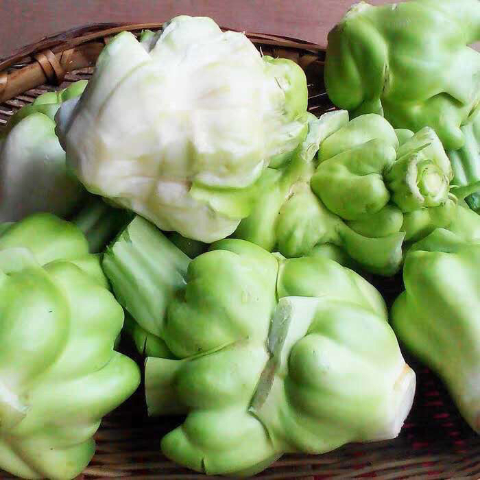 【湖南味道】鲜榨菜头现挖农家榨菜头新鲜榨菜现挖菱角菜羊角菜5斤