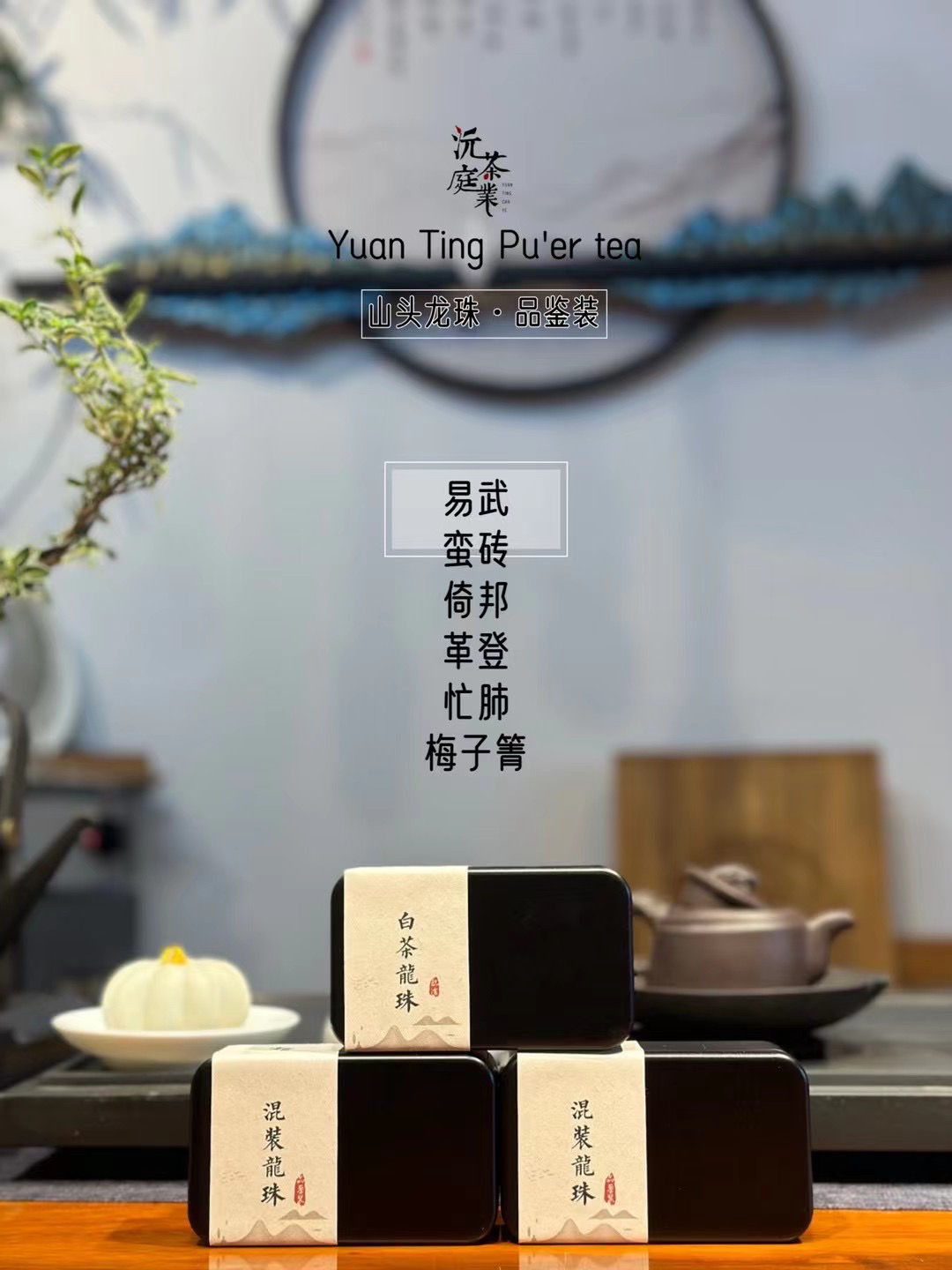 【七龙珠】沅庭茶业名山名寨七龙珠品鉴装普洱茶生茶七颗一盒