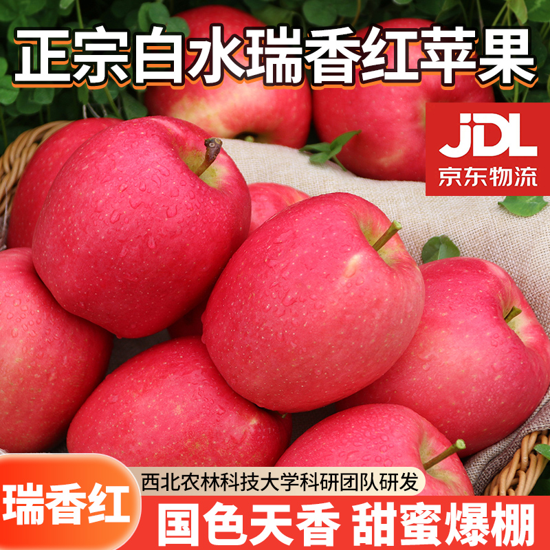 【泉盛隆】陕西白水瑞香红新品苹果浓香型果国色天香4-6斤装70-80mm