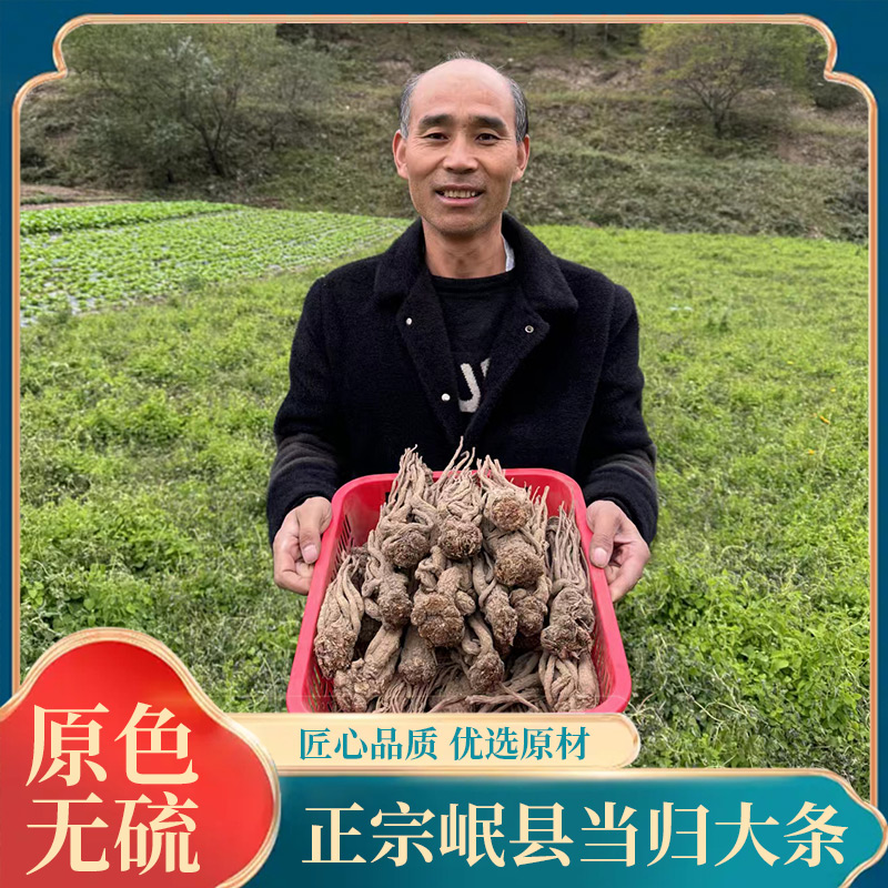 【当归大条】岷县原发，含量高油性足，无硫无薰无水洗，开袋有香味