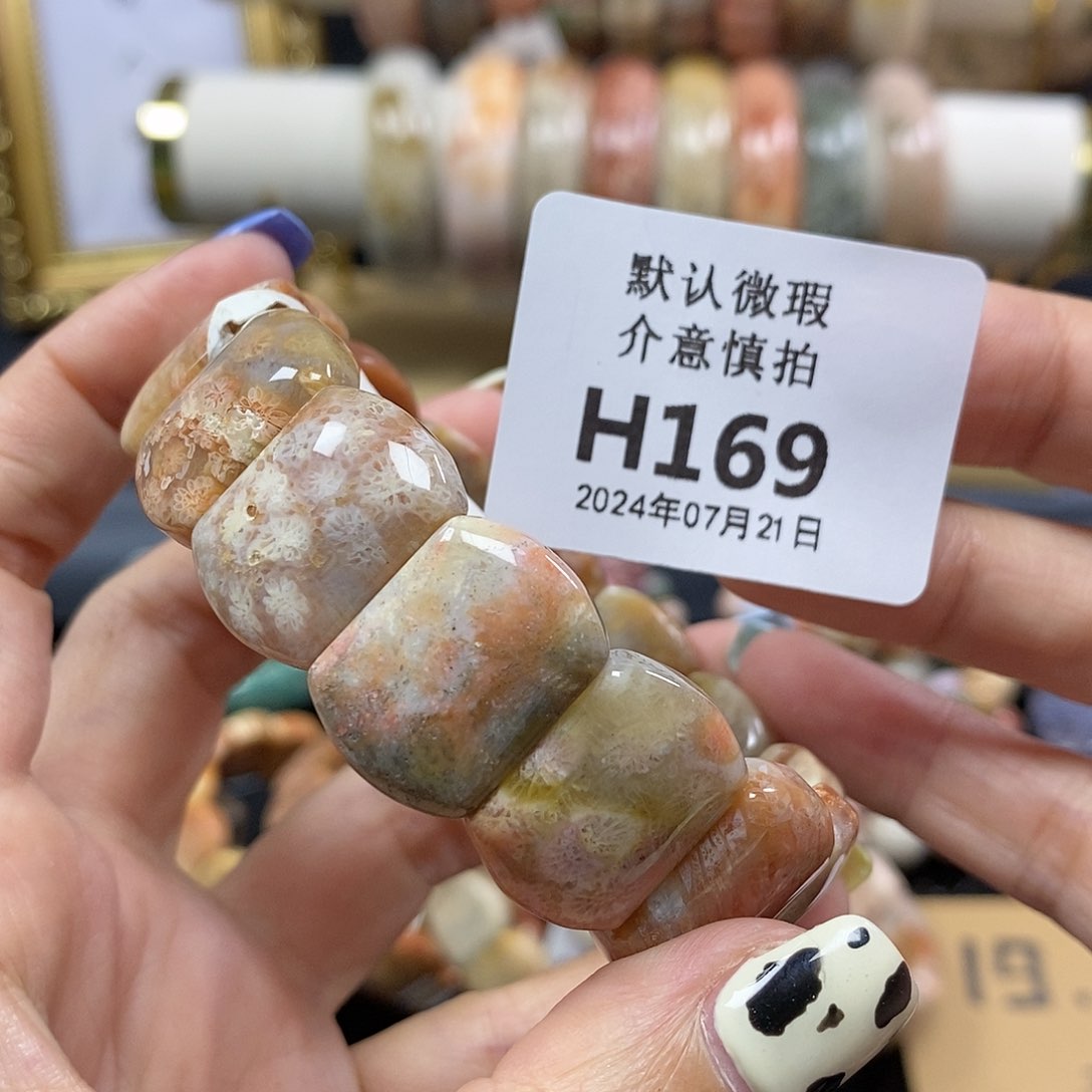 硅化珊瑚（珊瑚玉）颈饰未镶嵌169