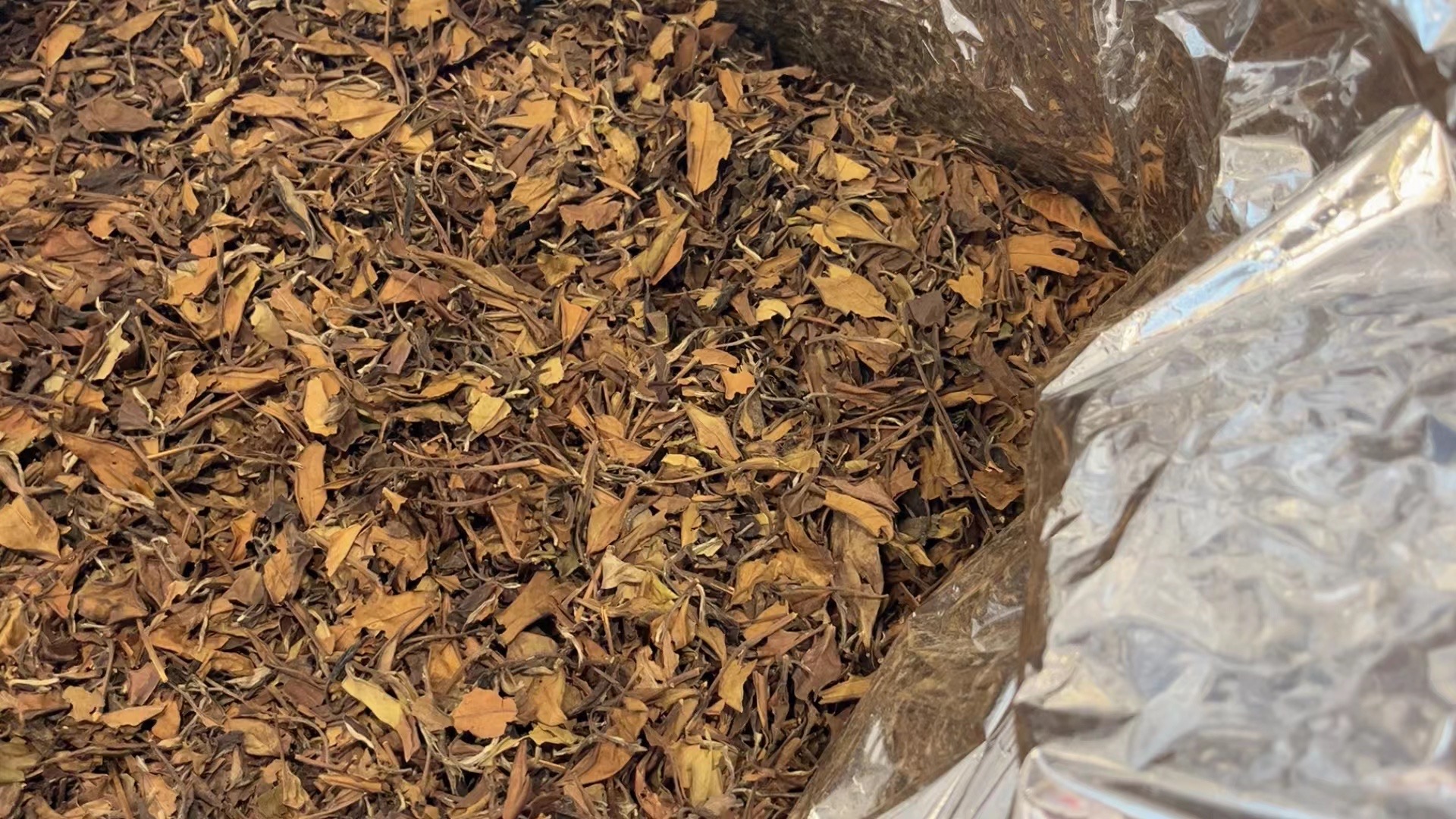 2010年产品老白茶500g2016年白毫银针50g