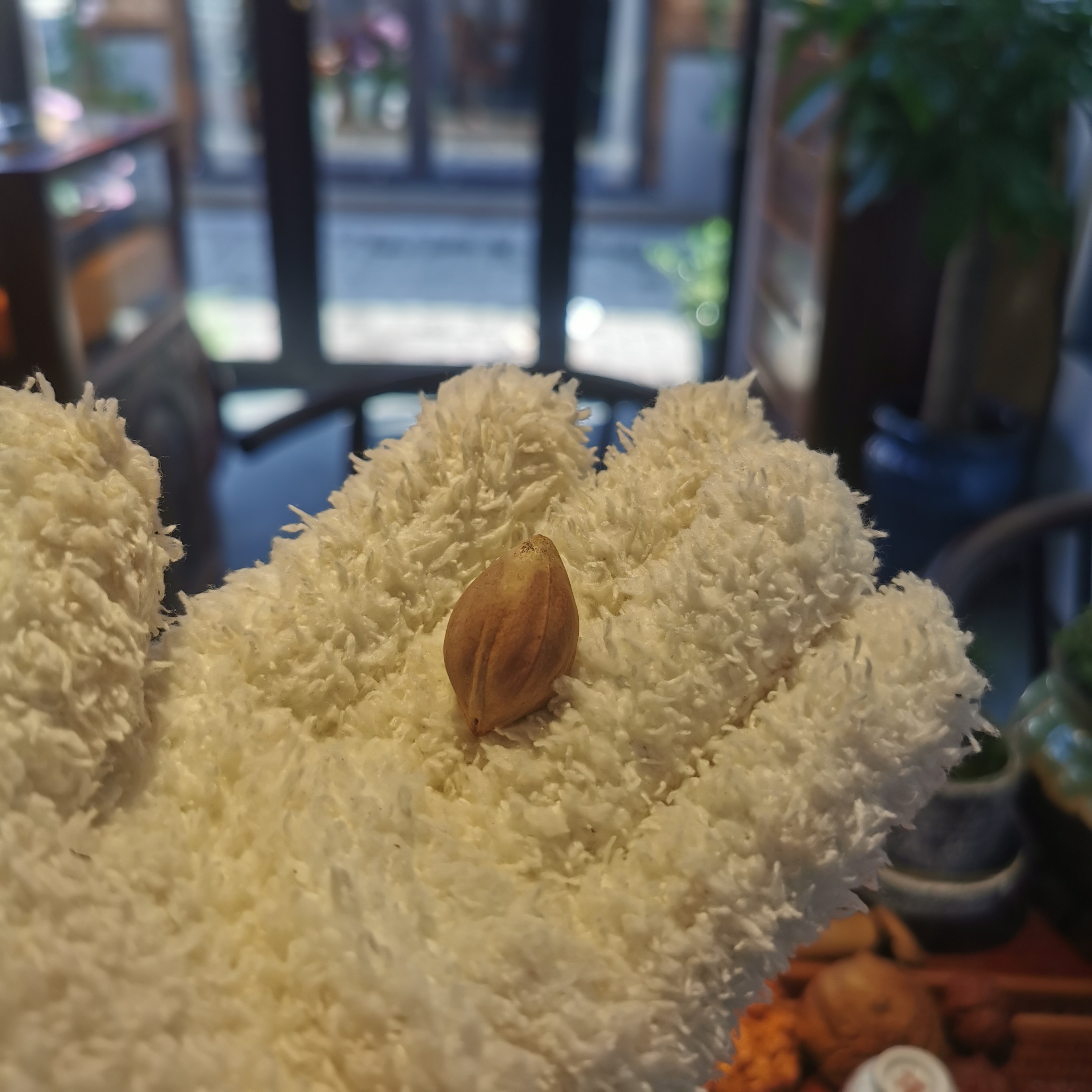 橄榄核素珠橄榄核雕