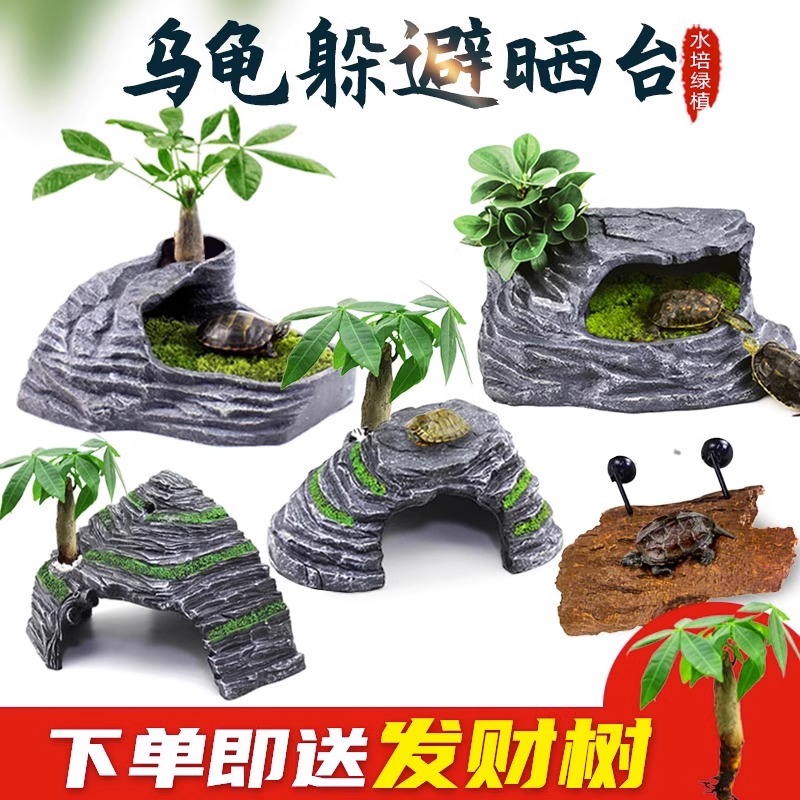 爬将军【新奇宠物】乌龟晒台爬台龟缸造景晒龟台晒背休息高水位浮岛