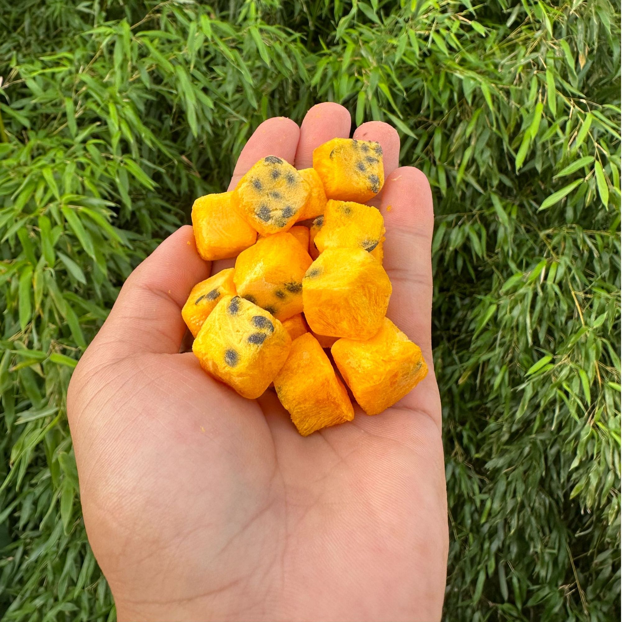 【百香果】净重-100g