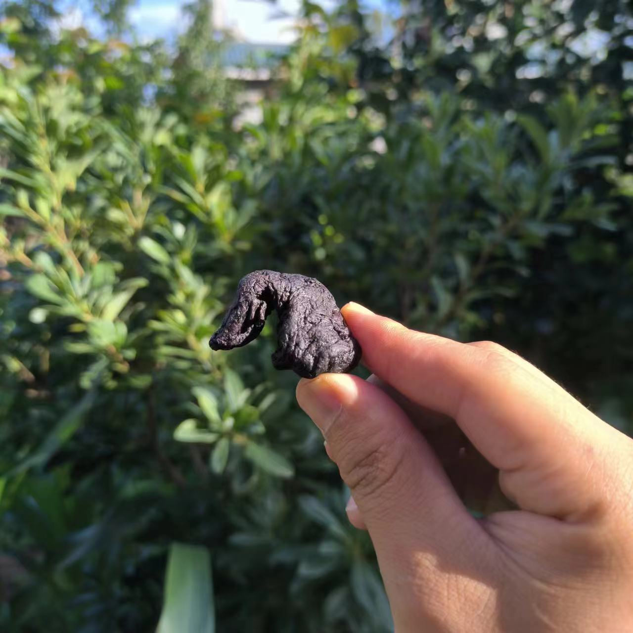 云南土特产【现收特产-熟地黄500g】