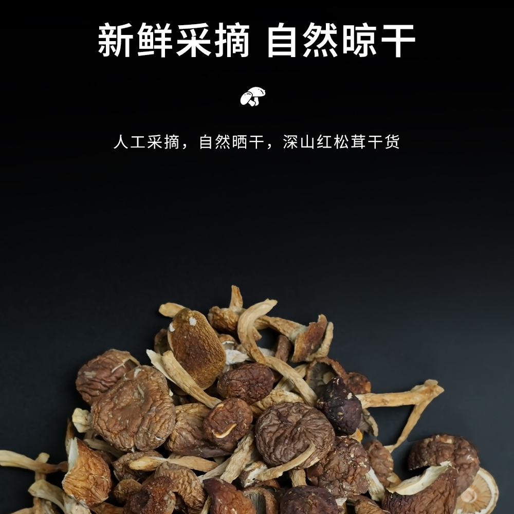 广东新丰松茸炖汤焖肉新鲜采摘自然晒干营养健康美味食材
