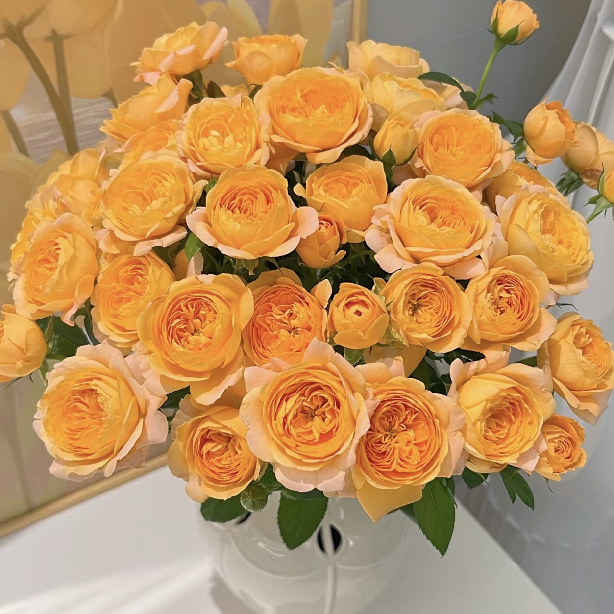 【一品花集】植艺【果汁阳台】多头玫瑰10支（注意：记得醒花哦~）