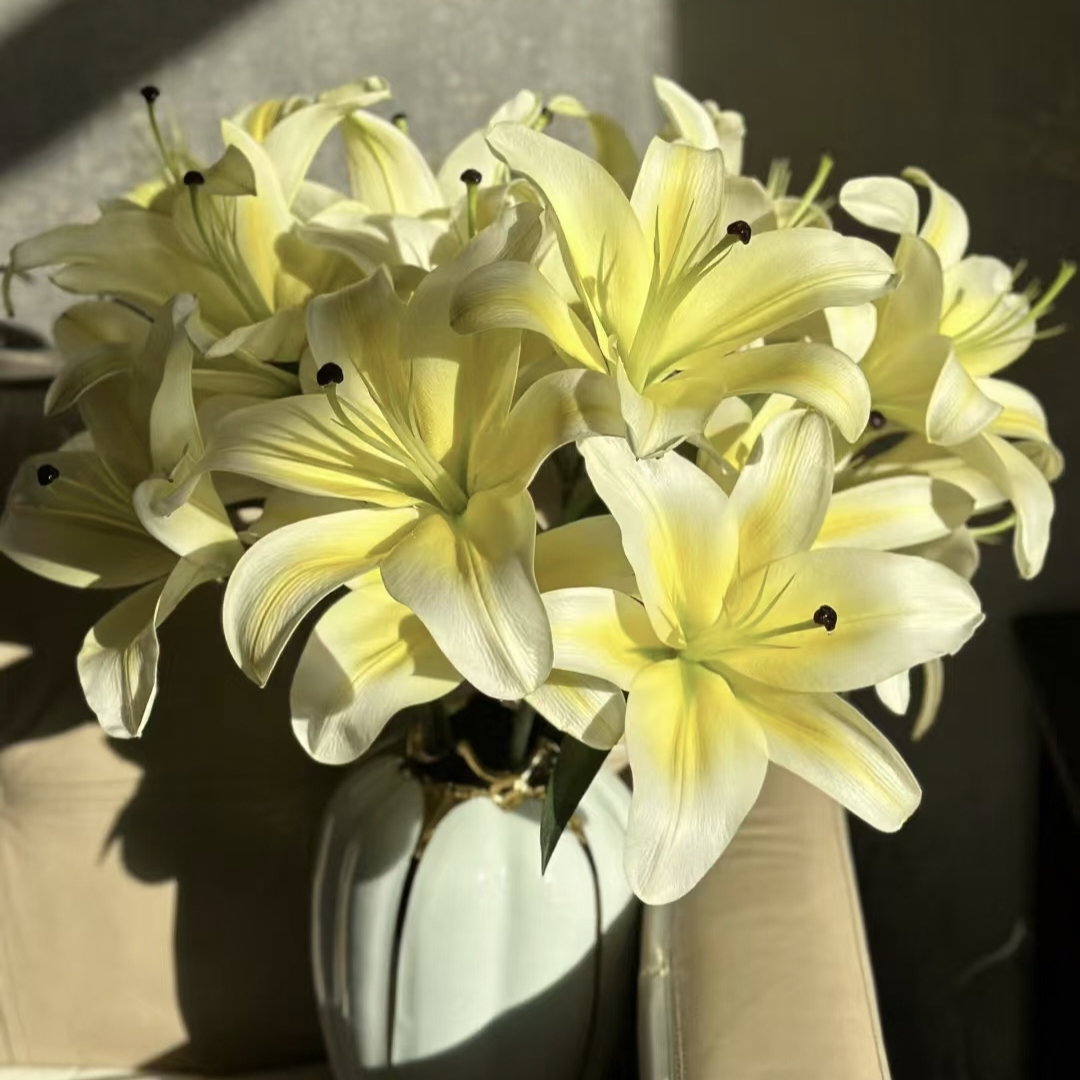 【一品花集】花期长【黄天霸】单瓣百合花 云南昆明基地直发家用鲜花