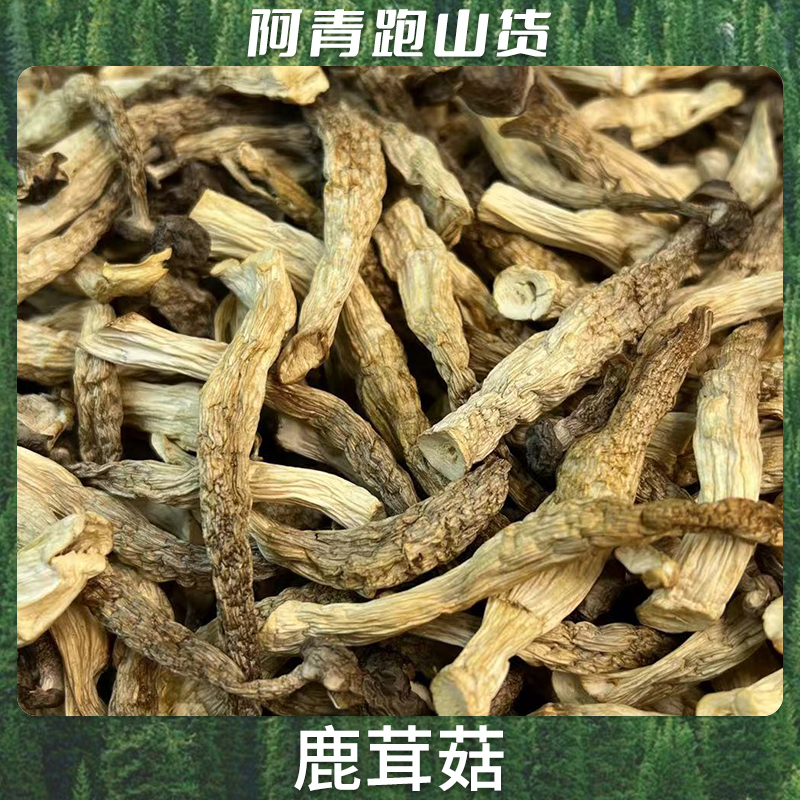 山野食品农产品 鹿茸菇