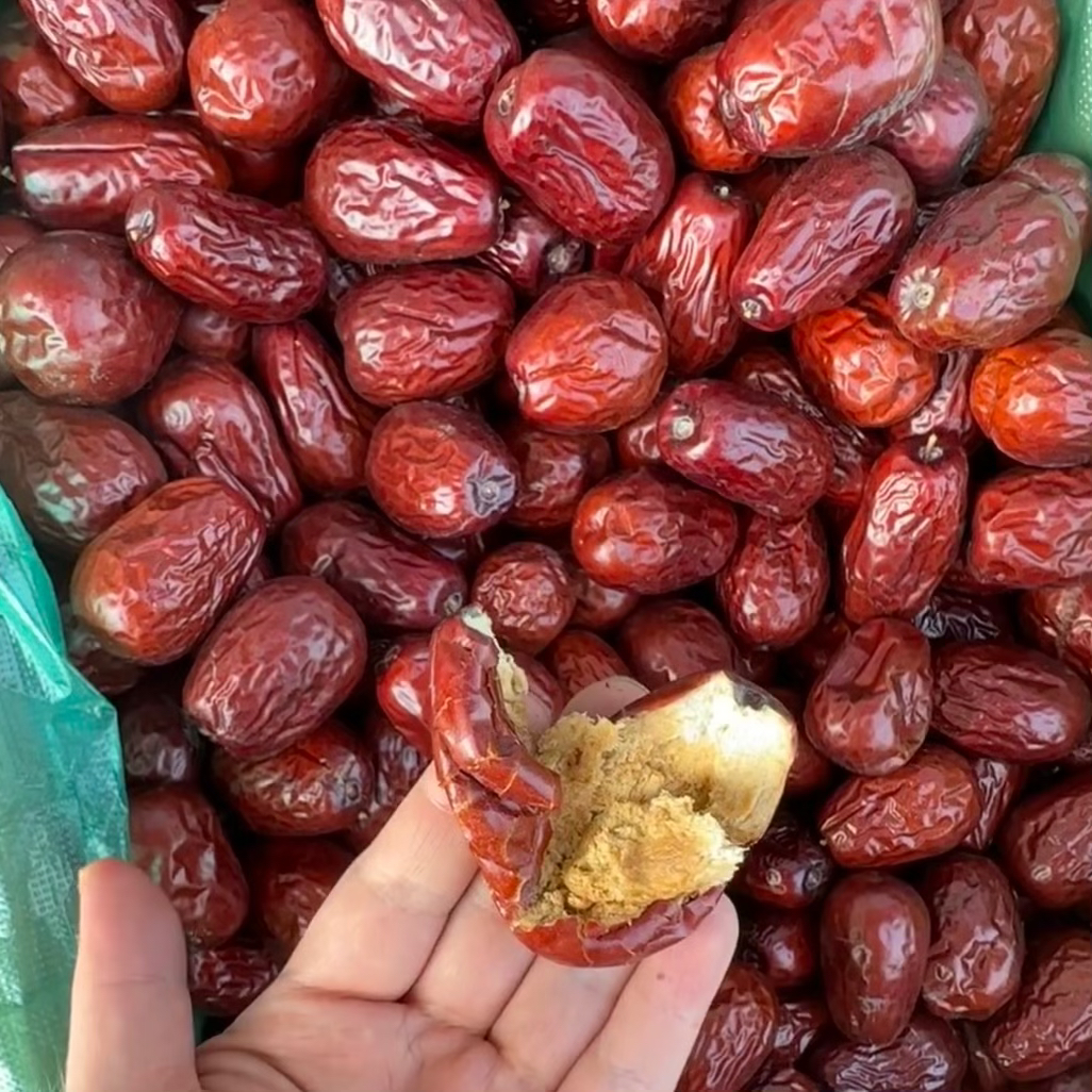 (到手两斤）五堡枣新疆精品大枣泡茶煮粥炖汤香甜煲汤甄选饱满