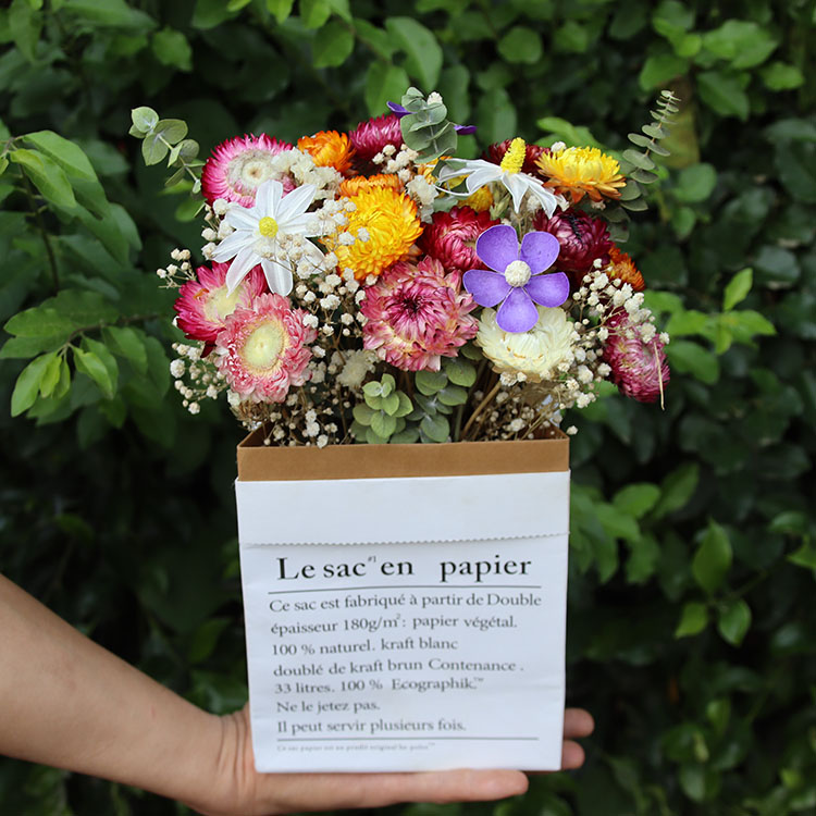 麦秆菊  雏菊真花干花花束