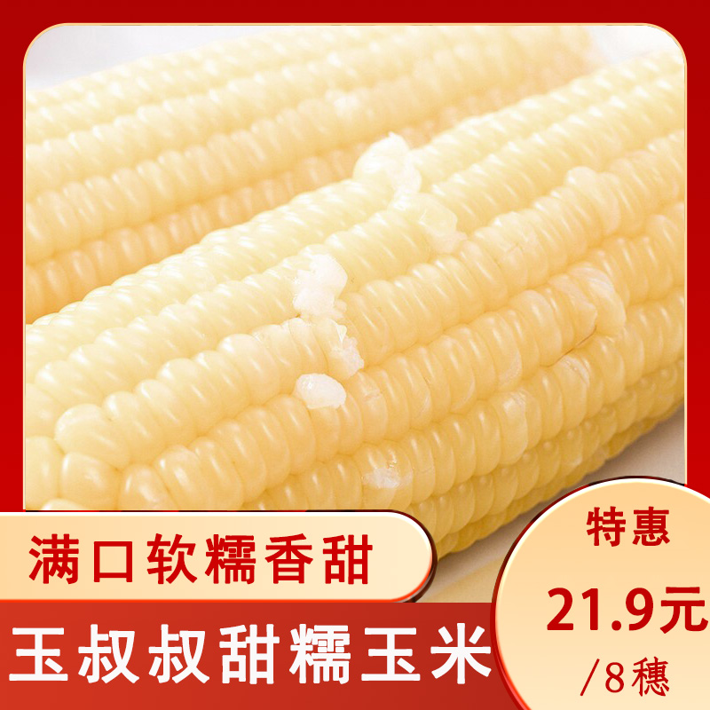 玉叔叔速冻甜糯玉米香粘白糯玉米营养食用采摘保鲜加工香糯