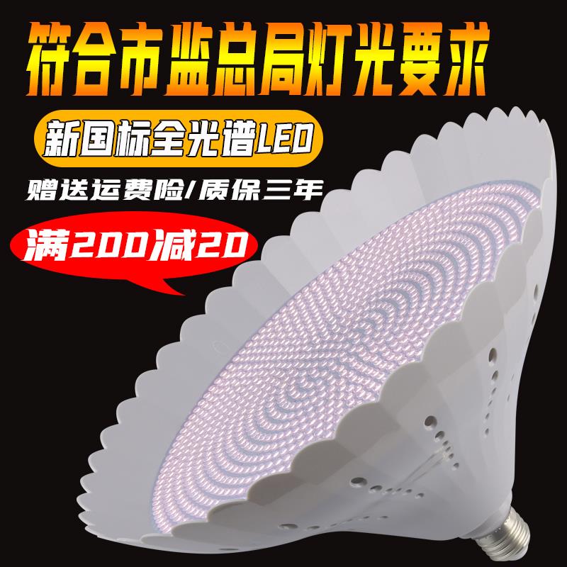 2023新款国标led生鲜猪肉灯白光高显全光谱冷鲜肉海鲜熟食水果灯