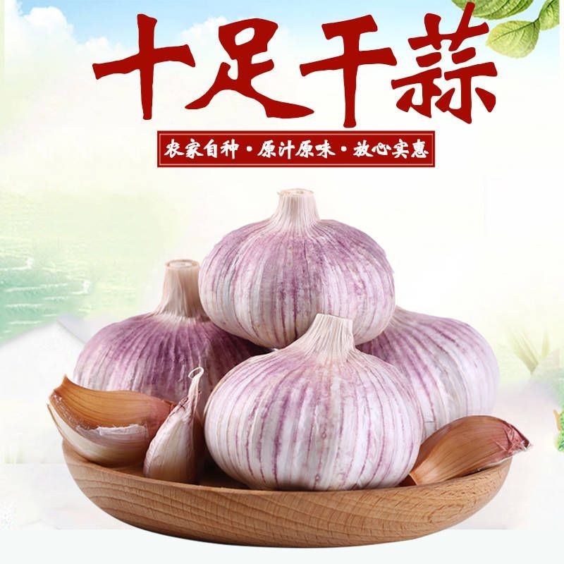 【精选大蒜】山东金乡紫白皮大蒜干蒜新大蒜头50g包邮-坏果包赔香辣