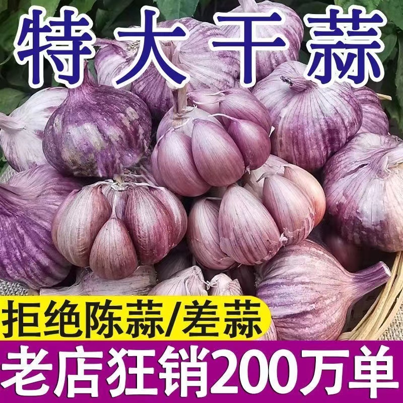 【亏本甩卖】2023紫皮大蒜新干蒜子新鲜50g-9斤/大蒜头优质蒜头批发