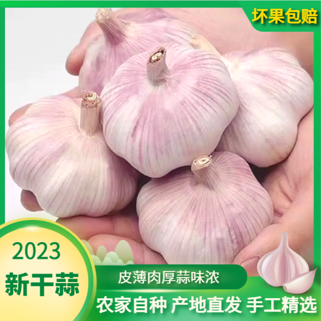 紫皮大蒜头特产整箱新干蒜蒜头紫白皮新鲜大蒜头50克9斤饱满爽口