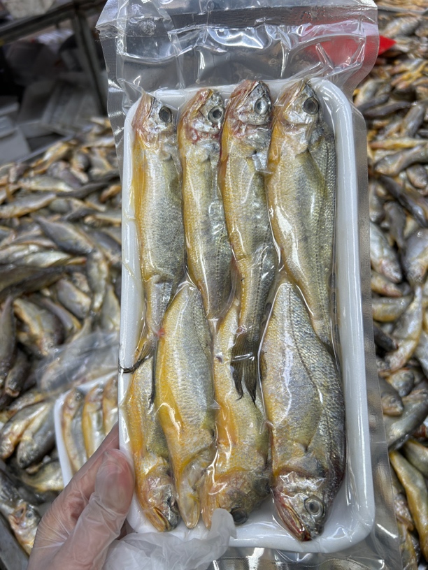山东日照海捕黄花鱼，1斤8-9只，5斤黄花，顺丰包