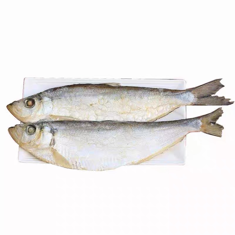 山东日照海捕白鳞鱼，顺丰包邮，5斤